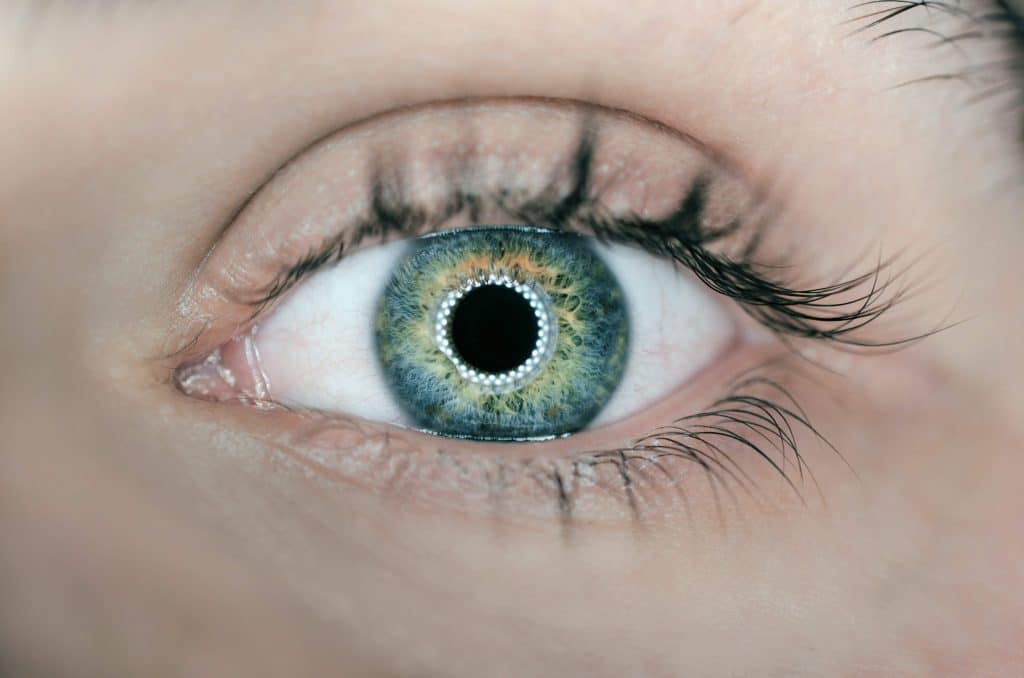 iris or retina scans are an example of biometric identification